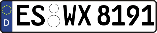 ES-WX8191