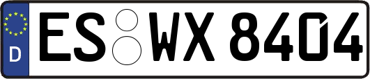 ES-WX8404
