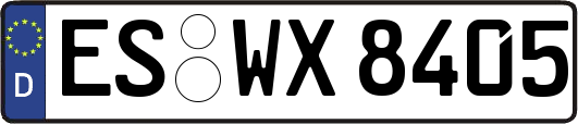 ES-WX8405