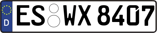 ES-WX8407