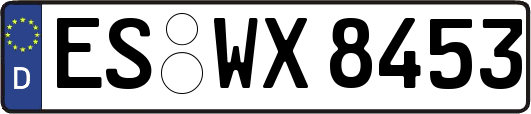 ES-WX8453
