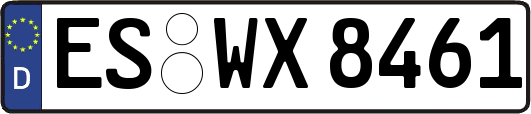 ES-WX8461