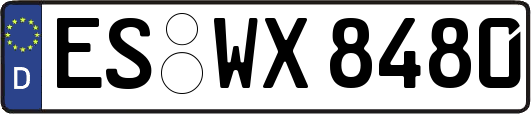 ES-WX8480