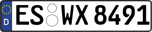 ES-WX8491