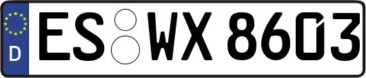 ES-WX8603