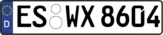 ES-WX8604