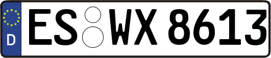 ES-WX8613