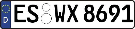 ES-WX8691