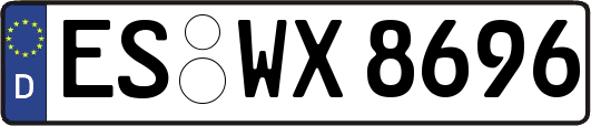 ES-WX8696
