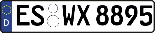 ES-WX8895