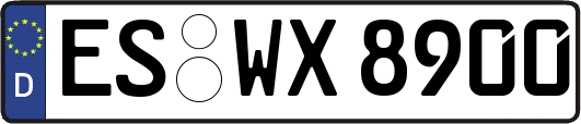 ES-WX8900