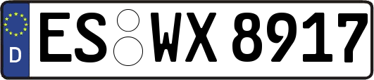 ES-WX8917