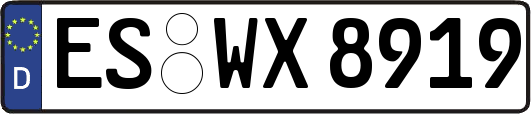 ES-WX8919