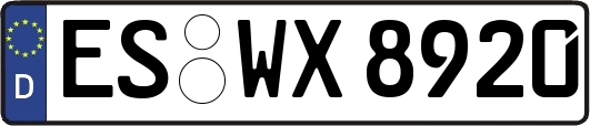 ES-WX8920