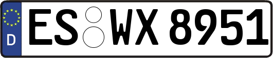 ES-WX8951