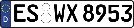 ES-WX8953