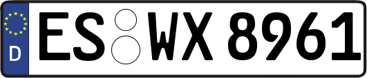 ES-WX8961