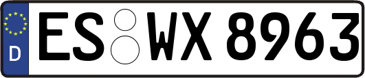 ES-WX8963