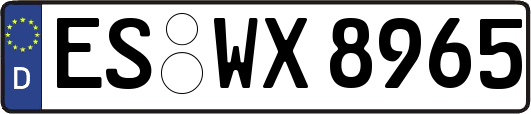 ES-WX8965