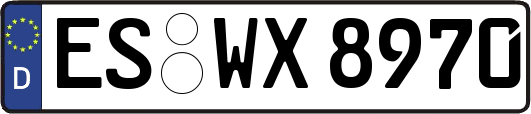ES-WX8970
