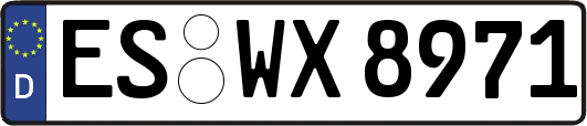 ES-WX8971