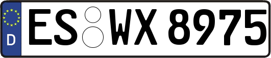 ES-WX8975