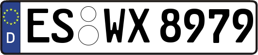 ES-WX8979