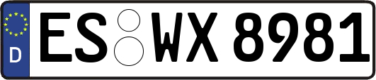 ES-WX8981