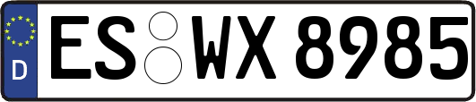 ES-WX8985
