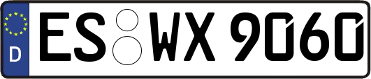 ES-WX9060