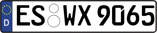 ES-WX9065