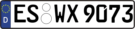 ES-WX9073