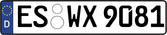 ES-WX9081