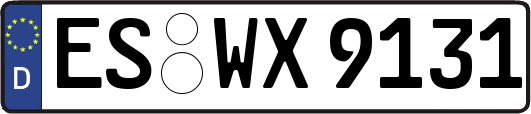 ES-WX9131