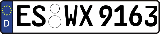 ES-WX9163