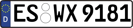 ES-WX9181