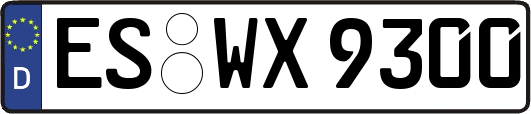 ES-WX9300