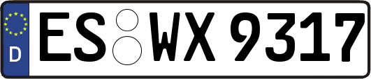 ES-WX9317