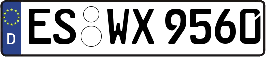 ES-WX9560