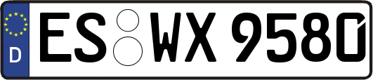 ES-WX9580