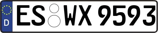 ES-WX9593