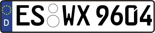 ES-WX9604