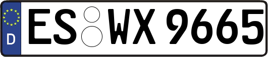 ES-WX9665