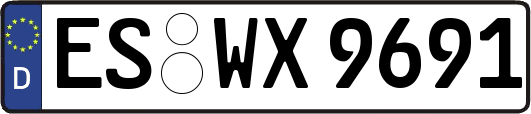 ES-WX9691