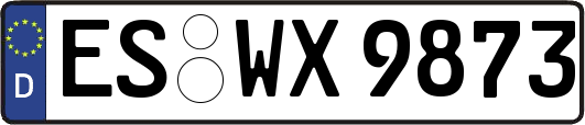 ES-WX9873