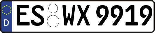ES-WX9919