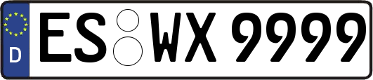 ES-WX9999