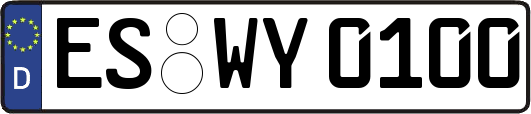 ES-WY0100