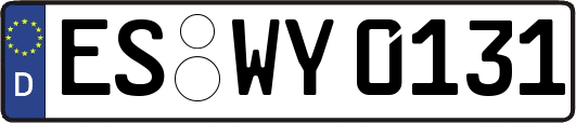 ES-WY0131