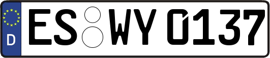ES-WY0137